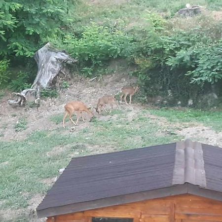 Les Cimes Bed & Breakfast Saint-Pierre-de-Riviere Luaran gambar