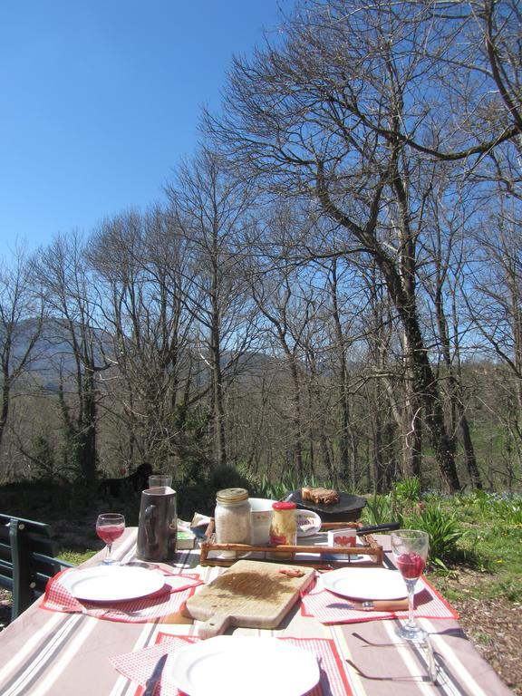 Les Cimes Bed & Breakfast Saint-Pierre-de-Riviere Luaran gambar